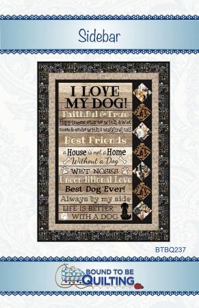 Sidebar Quilting Pattern from Bound to Be Quilting - 40" 55" project