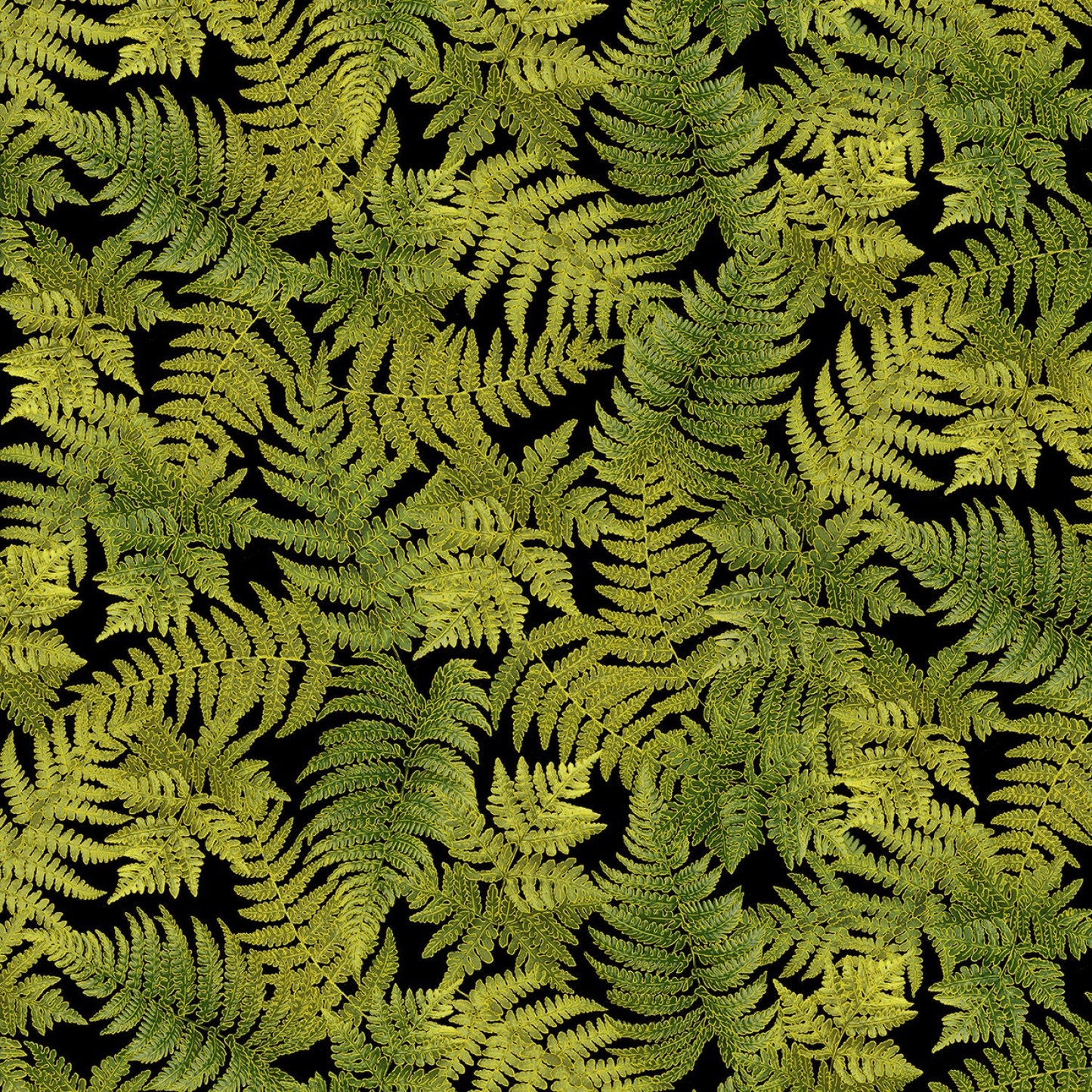 Fall Glory from Timeless Treasures - 1/2 Yard Black Fern Leaves