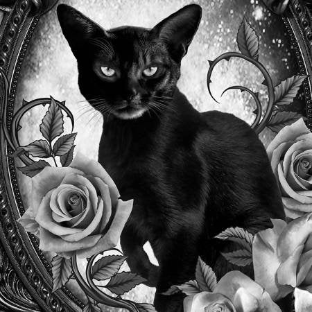 Black Cat Floral Portrait Panel from the Wicked Line for Timeless Treasures - 24" Panel - Black Cat and Roses in Mirror