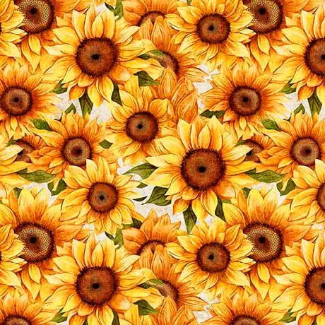 Sunflower Serenade from QT Fabrics - Half Yard - Packed Sunflowers on White