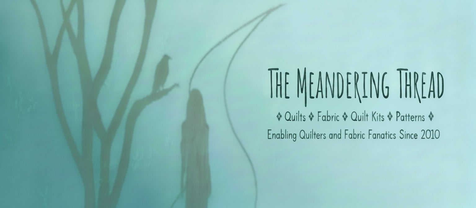 Silhouette of a person walking along a path with a bird on a branch against a blue background, featuring 'The Meandering Thread' branding.