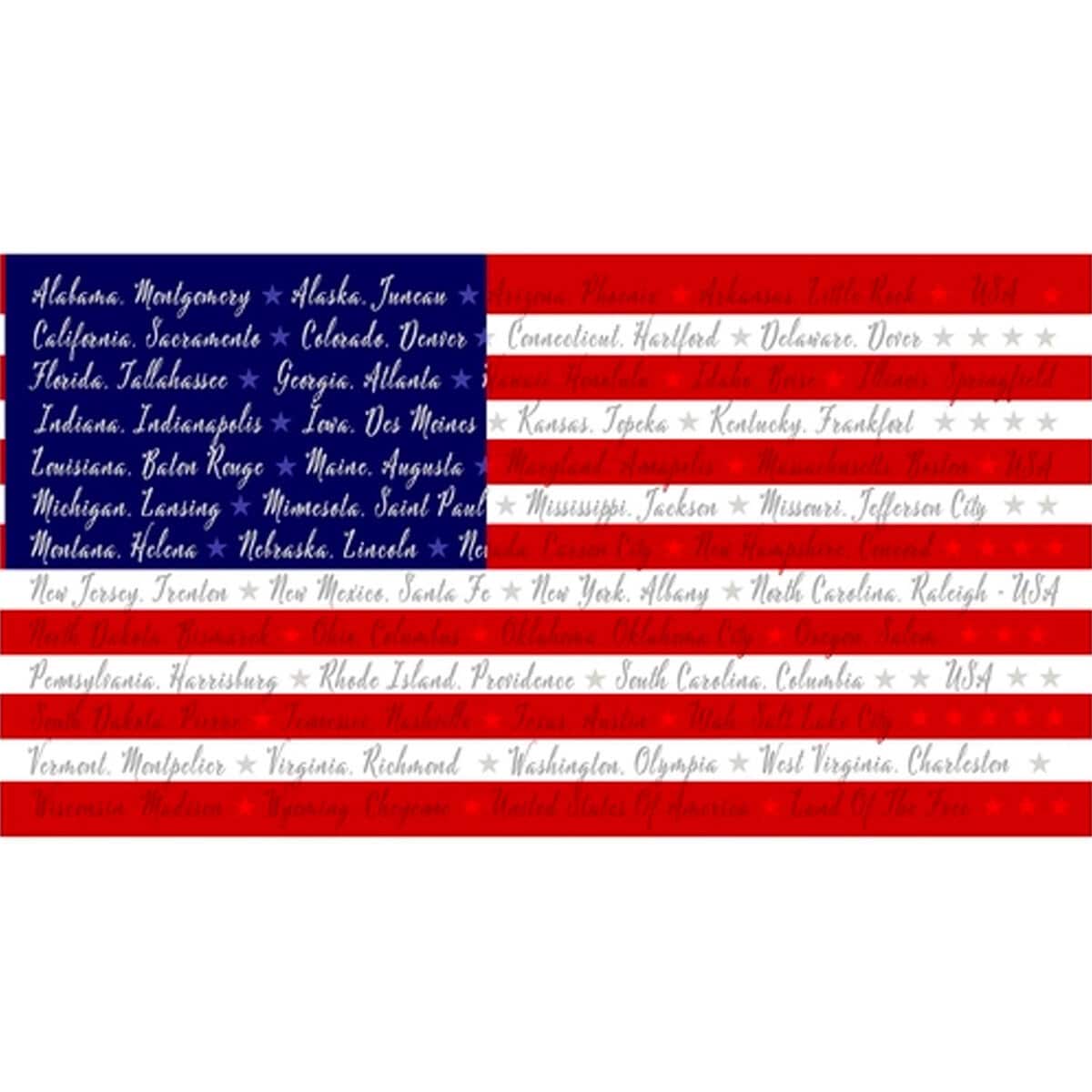 One Nation from Henry Glass Fabrics - 24" x 44" American Flag Panel - States and Capitals - Patriotic