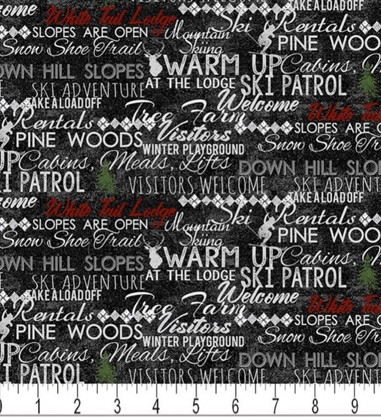 Winter Playground from Clothworks - Half Yard Winter Words on Black