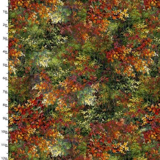 Through the Forest Light from 3 Wishes - 1/2 Yard Rustling Foliage - Fall Trees