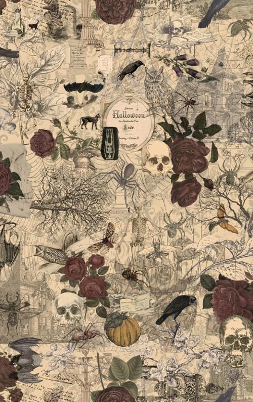 Haunted Mansion 3 Sisters from Moda Fabrics - 1 Yard - Gothic Halloween - Owls, Roses, Spiders, Moths, Houses, Webs
