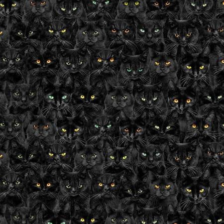 Wicked Black Cats Magic from the Wicked Line for Timeless Treasures - Half Yard - Black Cats with Bright Orange and Green Eyes
