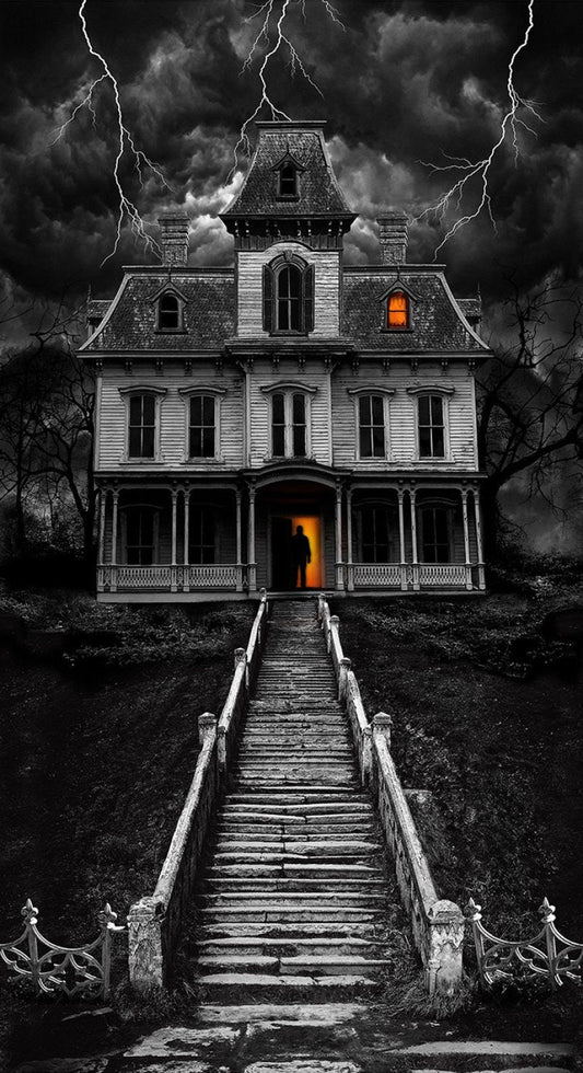 Wicked from Timeless Treasures - 24" x 44" Haunted House Panel - Halloween