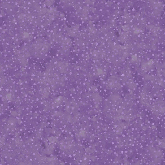 Spooky Hallow from Maywood Studios - 1/2 Yard Starry Night Purple - Halloween Purple