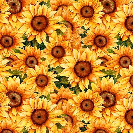 Sunflower Serenade from QT Fabrics - Half Yard - Packed Sunflowers on Green